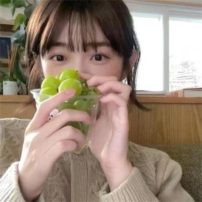 狂欢三宝封面