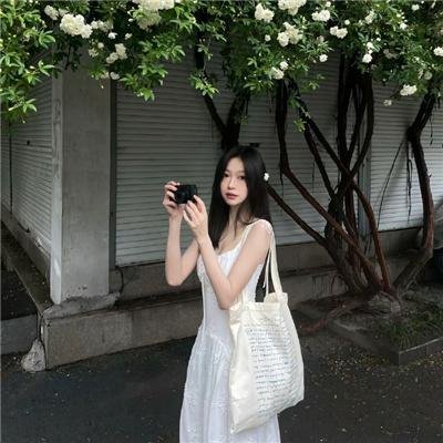 猫咪心动奇迹封面
