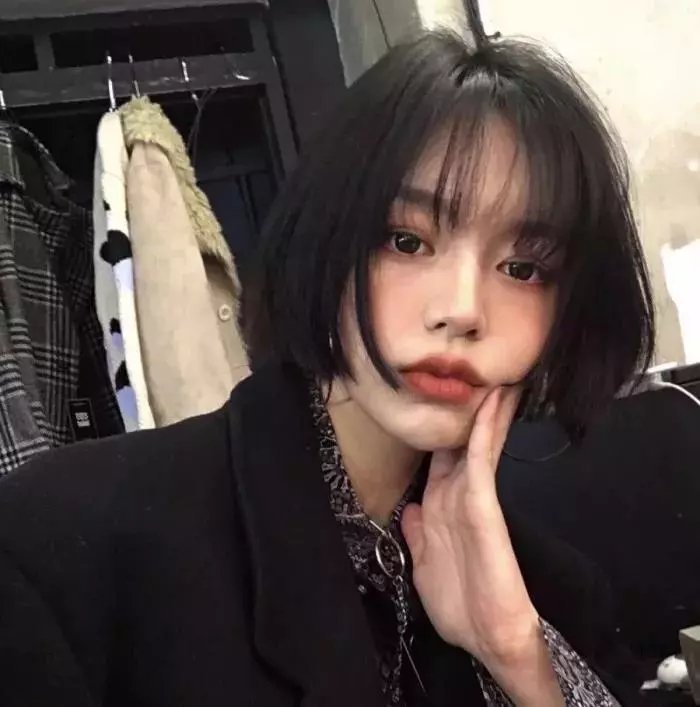 京北的我们封面